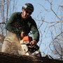 Photo of Mandella's Tree Service