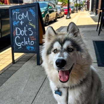 Tom & Dot's - Gelato and puppy! - Gelato Near Me - Miamisburg, Ohio Tom & Dot's - Gelato and puppy! - Gelato Near Me - Miamisburg, Ohio