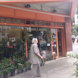 Flores Casavi