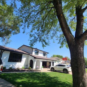 The Tree Surgeon - Tree Services Near Me - Papillion, Nebraska