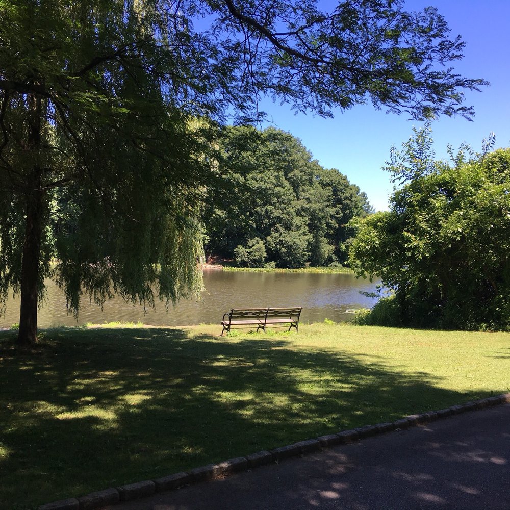 Van Cortlandt Park  - Park bench facing the lake - Parks Near Me - Bronx, New York