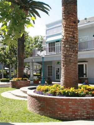 Village Faire by null