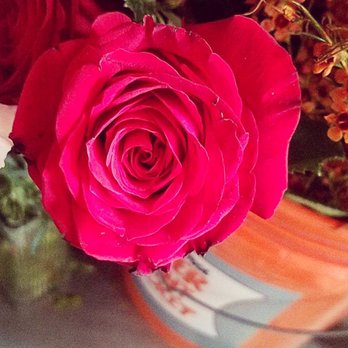 Suzanne's Designs - Florists Near Me - Luling, Texas Suzanne's Designs - Florists Near Me - Luling, Texas