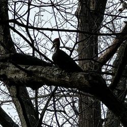 Saddle River County Park