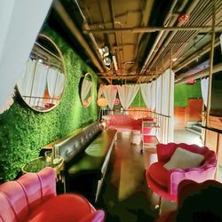 Bird of Paradise - VIP area