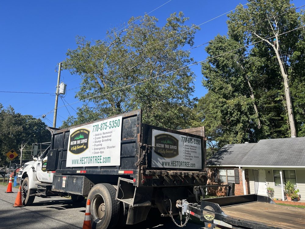 Hector Tree Service - tree service in Marietta, GA