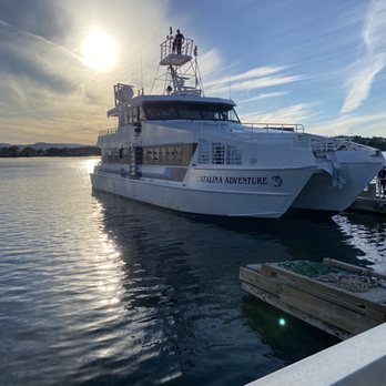 Orca Spirit Adventures - Whale Watching Tours Near Me - Victoria, British Columbia Orca Spirit Adventures - Whale Watching Tours Near Me - Victoria, British Columbia