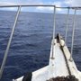Photo of Underwater Oahu