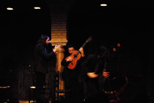 Flamenco Dance Museum by null