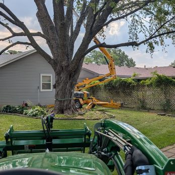 Tree Pros Tree Services - Tree Services Near Me Tree Pros Tree Services - Tree Services Near Me