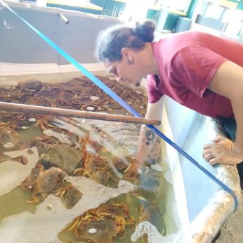 OleBobs Seafood Market - Owner, selecting a LIVE crab! - Live/Raw Food Near Me - Astoria, Oregon OleBobs Seafood Market - Owner, selecting a LIVE crab! - Live/Raw Food Near Me - Astoria, Oregon
