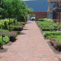 Able Landscape Co - Commercial Landscape and Hardscaping