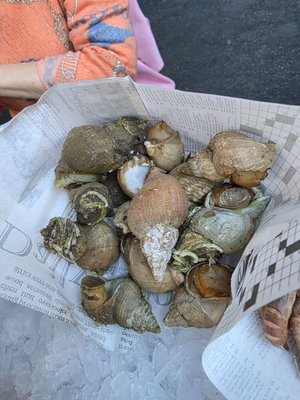 Seafood Restaurant by null