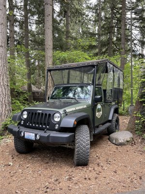 Northwest Trek Wildlife Park by null