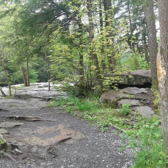 Swallow Falls Waterfall - Local Flavor Near Me - Oakland, Maryland