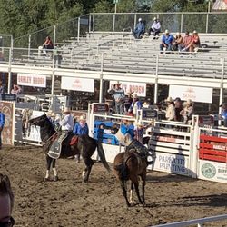 Oakley Rodeo