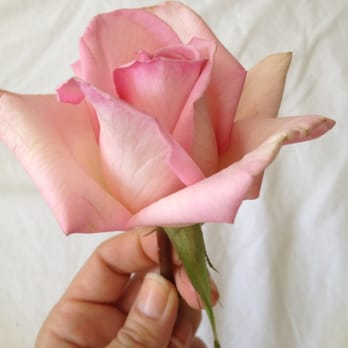 Citi Buds - 30 minutes post delivery - Florists Near Me - Manhattan, New York