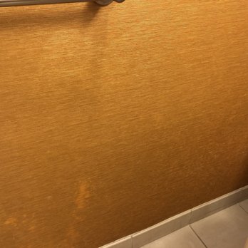 Fairfield by Marriott Inn & Suites Orlando Ocoee - Stained wall covering - Hotels Near Me - Ocoee, Florida