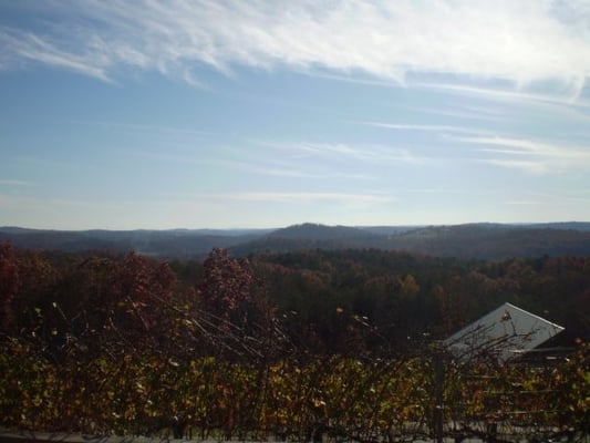 Wolf Mountain Vineyards by null