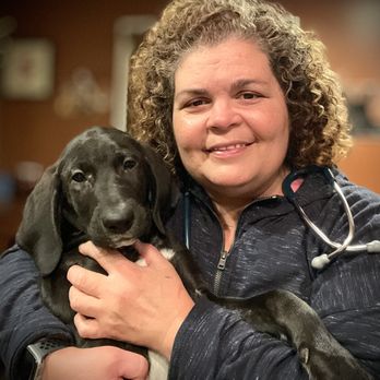 Plainfield Animal Hospital - Veterinarians Near Me - South Plainfield, New Jersey Plainfield Animal Hospital - Veterinarians Near Me - South Plainfield, New Jersey