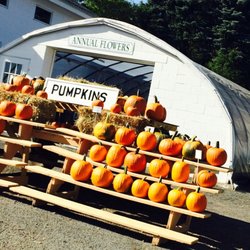 Sunny Farm