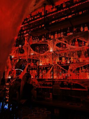 The Speakeasy by null
