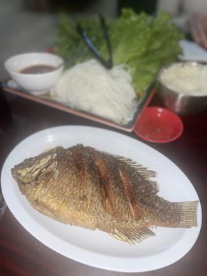 Elephant Thai Cuisine by null