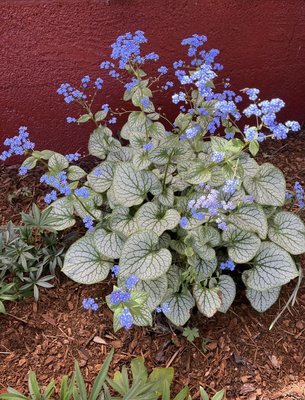 Greenbank Farm by null