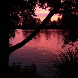 Gutshaus Langensee - Langensee, 2016, Copyright by mostro