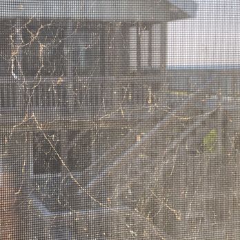 Beach Realty & Construction & Kitty Hawk Rentals - Spider webs inside window - General Contractors Near Me - Kitty Hawk, North Carolina