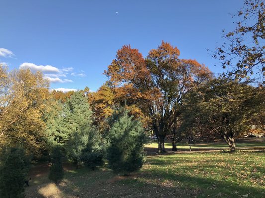 Inwood Hill Park by null