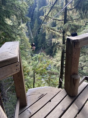 Ziptrek Ecotours by null