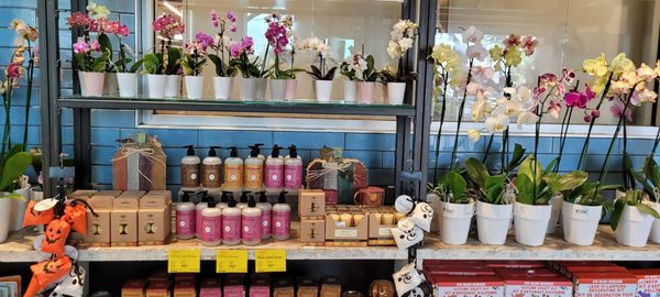 Whole Foods Market by null