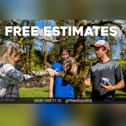 Tree Guys - Call for an estimate