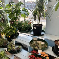 Flower Expressions Florist