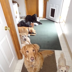 Cory's K-9 Grooming - Slumber party at Cory's!
