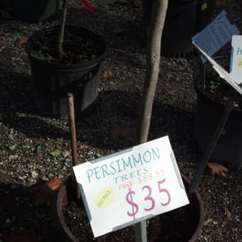Peconic River Herb Farm - Nurseries & Gardening Near Me - Calverton, New York Peconic River Herb Farm - Nurseries & Gardening Near Me - Calverton, New York