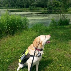 Fishing Pond & Doggo