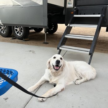 TLC K9 Training - Pet Training Near Me