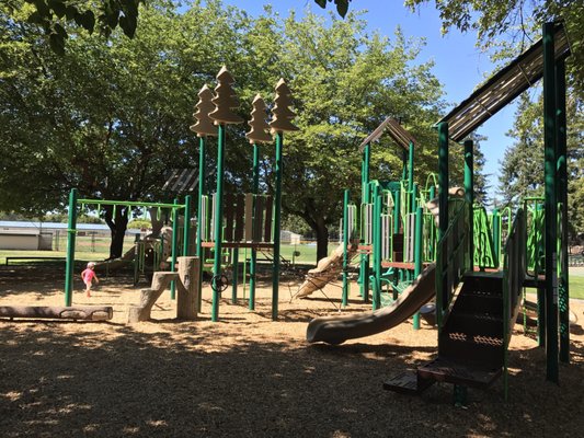 Steve Carli Park by null