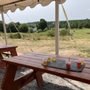 Stone Tree Farm & Cidery