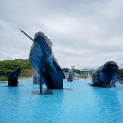 National Museum of Marine Biology & Aquarium by null