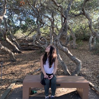 Los Osos Elfin Forest - Parks Near Me