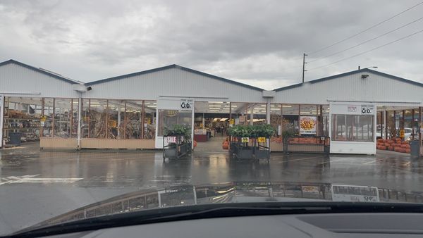 Carpinito Brothers by null