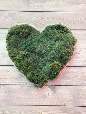 Sunlife Organics by null