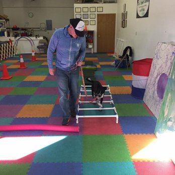 Blue Creek Canine - Pet Training Near Me - Billings, Montana Blue Creek Canine - Pet Training Near Me - Billings, Montana