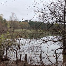 Millwood State Park