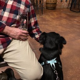 a man and his dog a man and his dog