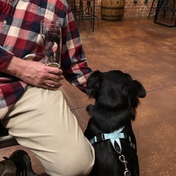 Verboten Brewing - a man and his dog - Breweries Near Me - Loveland, Colorado Verboten Brewing - a man and his dog - Breweries Near Me - Loveland, Colorado