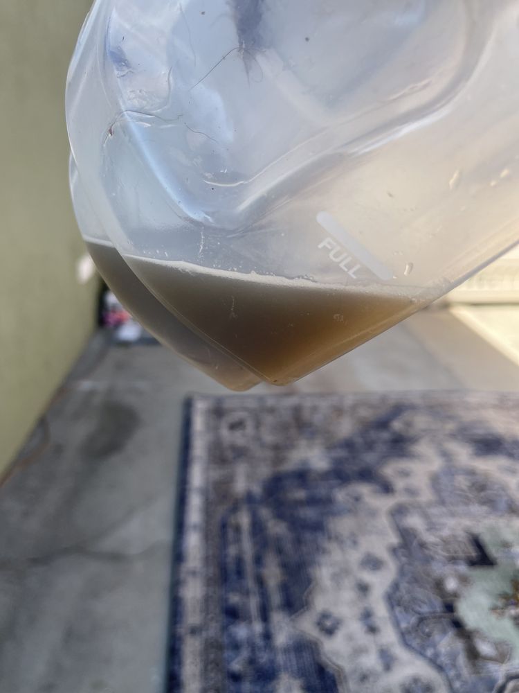 ALL GREEN CARPET CLEAN Updated May 2024 11 Reviews Long Beach